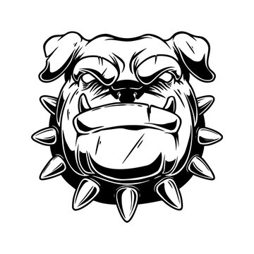 Illustration of boxer dog head in vintage monochrome style. Design element for logo, emblem, sign, poster, card, banner. Vector illustration