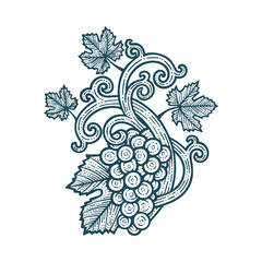 Grape bunch, vine and leafs. Grapevine vintage style hand drawn vector illustration. Part of set.