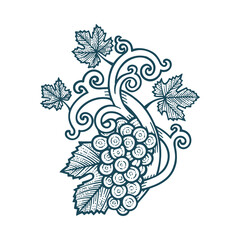 Grape bunch, vine and leafs. Grapevine vintage style hand drawn vector illustration. Part of set.