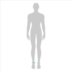 Men to do high ankle measurement fashion Illustration for size chart. 7.5 head size boy for site or online shop. Human body infographic template for clothes. 