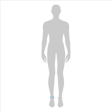 Men to do high ankle measurement fashion Illustration for size chart. 7.5 head size boy for site or online shop. Human body infographic template for clothes. 