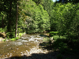 river running through the woods