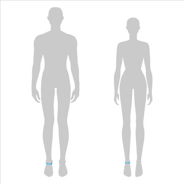 Women and men to do ankle measurement fashion Illustration for size chart. 7.5 head size girl and boy for site or online shop. Human body infographic template for clothes. 