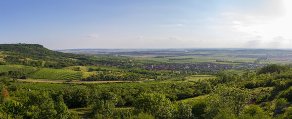 Obraz premium Panoramic view to vineyard landscape with hills and small village Perna, Palava Czech republic