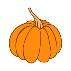 Isolated hand drawn pumpkin. Design element for food label. 