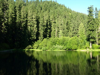 sunny clear lake