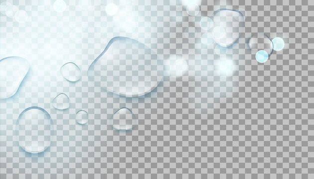 Drops water rain on transparent background, realistic style, vector elements. Clean drop condensation. Vector pure bubbles on window glass