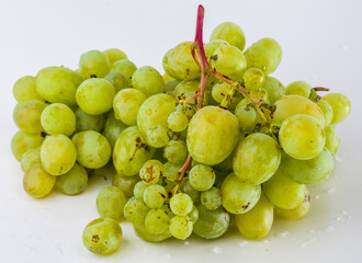 bunch of grapes on a white background