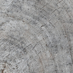 Background from a cross section of a tree trunk. Abstract texture from the rings of an old weathered stump