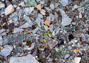 
background texture pieces of broken glass
