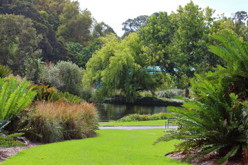 Fototapeta na wymiar landscape in adelaide botanic garden