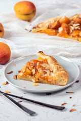 Galette tart pie with fresh apricot on light background