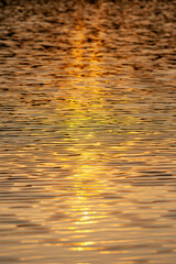 glare on the lake (golden)
