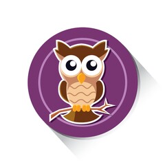 owl