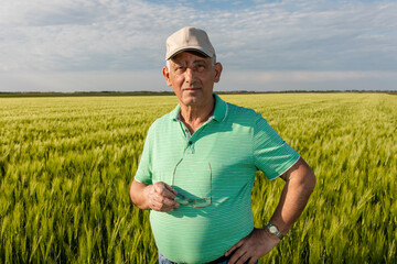 Naklejka na ściany i meble Portrait of senior farmer standing in in wheat field.