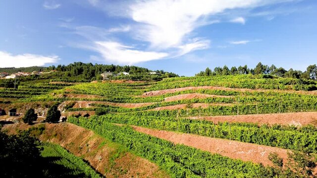 View from Amarante's Cycling Trail over the valley in Portugal. Features a wide view of the natural scenery.