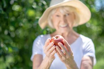 Elderly woman picked red and juicy apple
