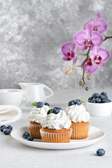 Cupcakes with cream and blueberries on a gray background.