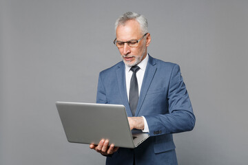 Serious elderly gray-haired business man in classic blue suit shirt tie isolated on grey wall background studio portrait. Achievement career wealth business concept. Working on laptop pc computer.