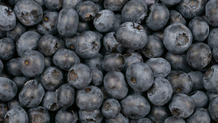 Raw blueberry background.