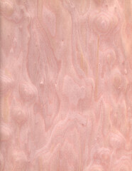 wood wall Veneer Pattern brown wooden material finish surface furniture burr texture wall background