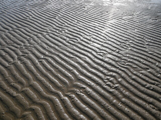 sand background after low sea