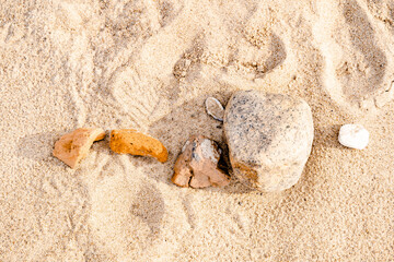 Sandy beach on the Baltic sea. Gulf of Finland. Summer. Rocks and mussel shells.