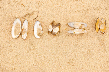 Sandy beach on the Baltic sea. Gulf of Finland. Summer. Rocks and mussel shells.