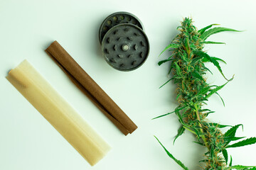 Fresh marijuana green bud top view. Smoking accessories on white background. Joint paper, blunt and...
