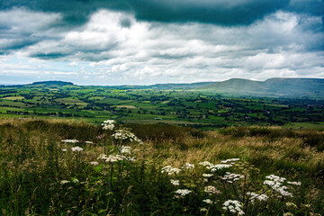 View near the Trough of Bowland, Lancashire.