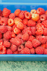 ripe red raspberries in a plastic container as natural background