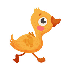 Yellow Chick as Baby Hen Isolated on White Background Vector Illustration