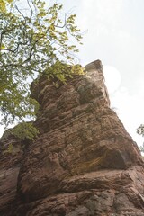 Sandstone cliff from the Vosges in the mountains during a sunny day of summer