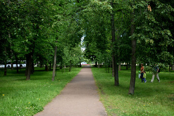park in the city