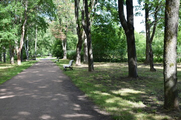 Fototapeta premium alley in the park