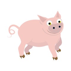 pig