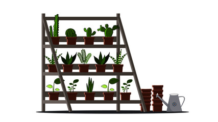 green plant in the pot with racks and gardening equipment