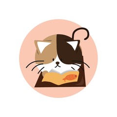cat reading book