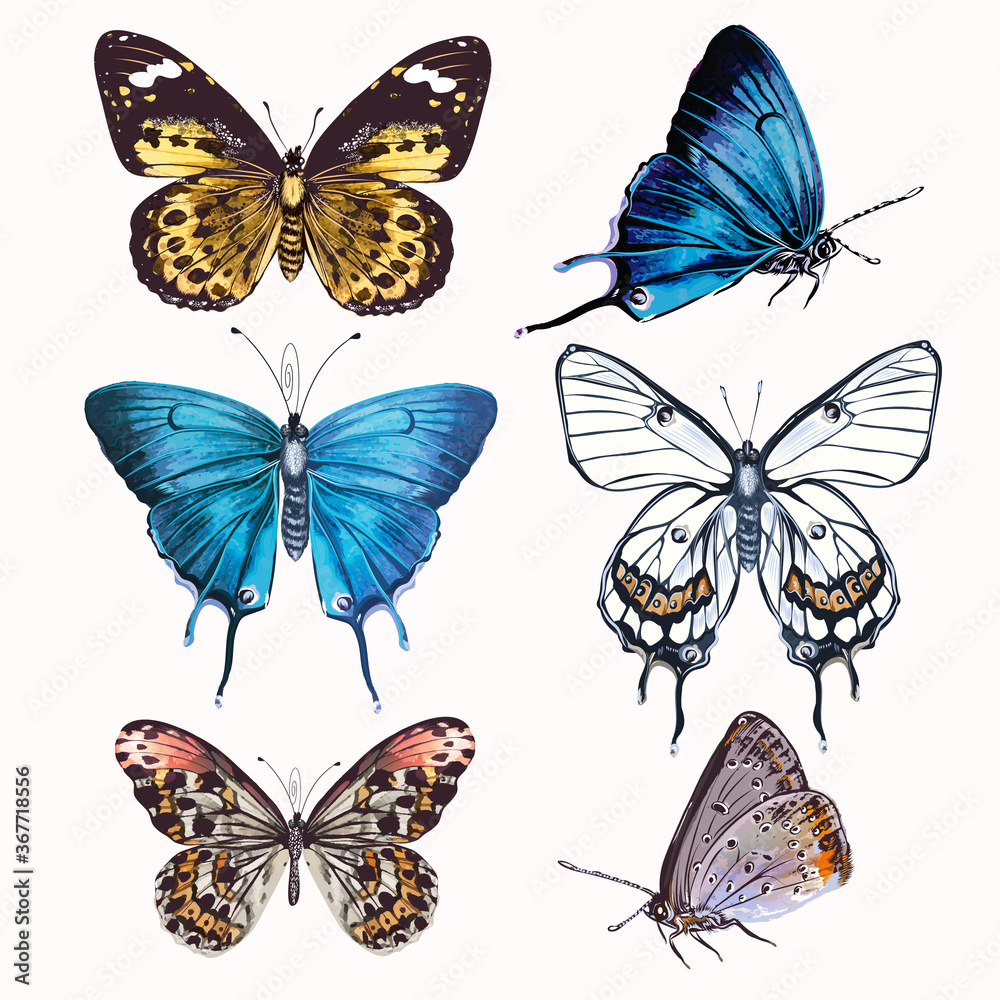 Poster collection of vector realistic butterflies for design in vintage style