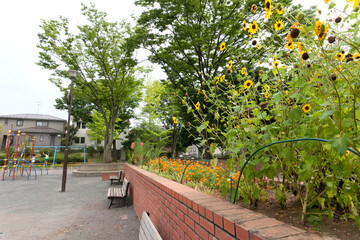 たちばな台第二公園（横浜市青葉区）