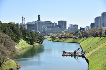 東京都千代田区 千鳥が淵の桜とお堀