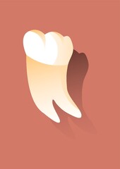 molar tooth