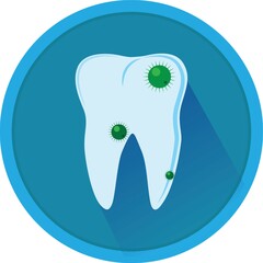 tooth with germs