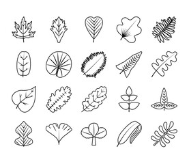 tropical leaves line style icon set vector design