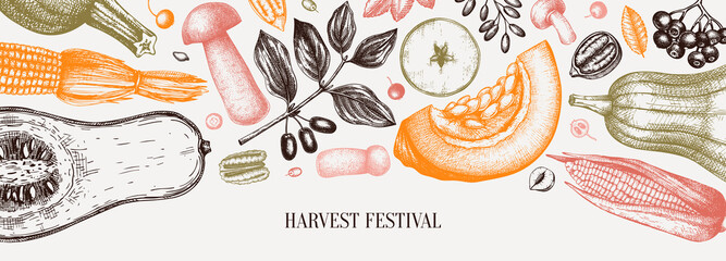 Thanksgiving day vector banner. Autumn harvest festival vintage design. Fall season backdrop with hand drawn berries, fruits, vegetables, mushrooms illustration. 
