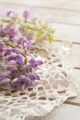 Fototapeta na wymiar Purple lupin flowers with vintage lace on white background. Lupinus, lupine. Tender card