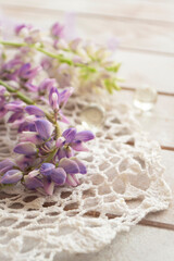 Purple lupin flowers with vintage lace on white background. Lupinus, lupine. Tender card