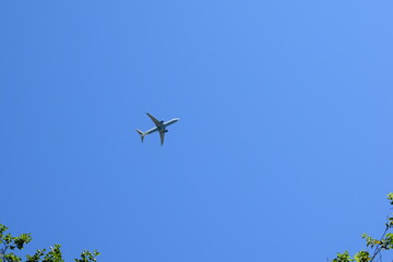 airplane in flight