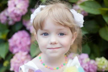 
A little girl is in the bushes of hydrangea flowers in a sunset garden. The flowers are pink, lilac, lavender and blooming on the streets of the city. Child in a dress with a unicorn. The concept of 