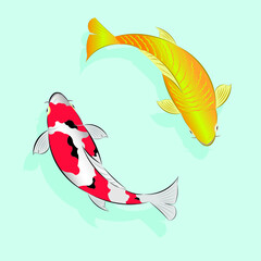Japan colored carp fish or japanese Koi fish drawing in vector